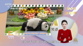 成人av资源在线